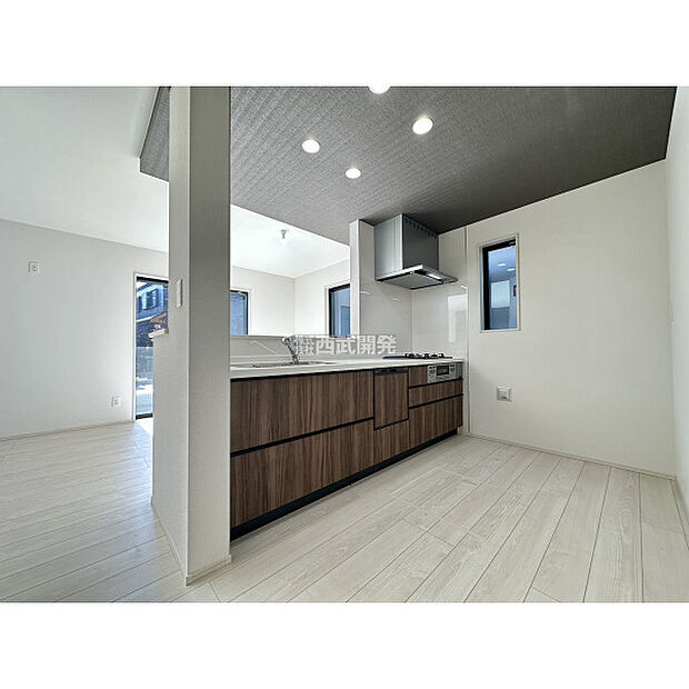 令和7年11月16日撮影