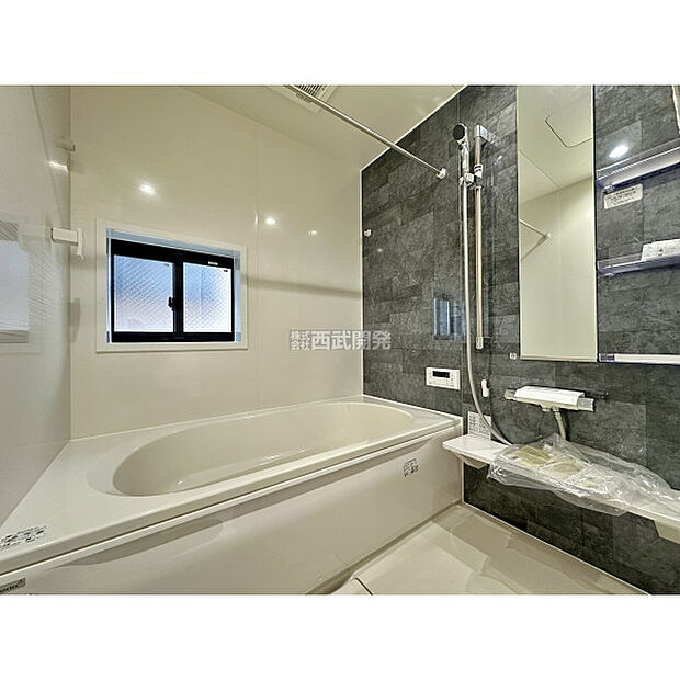 令和7年11月16日撮影