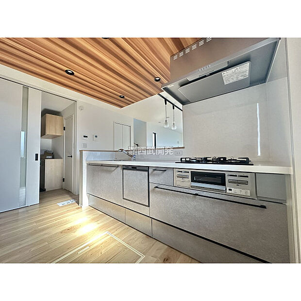 令和7年11月30日撮影