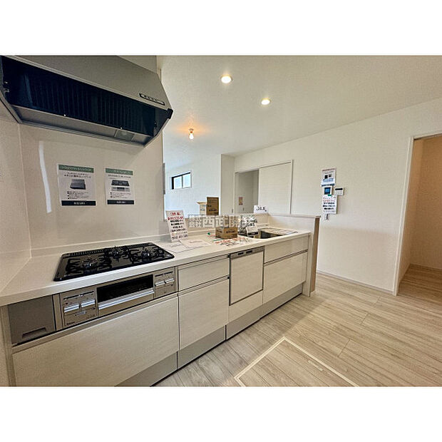 令和7年8月22日撮影