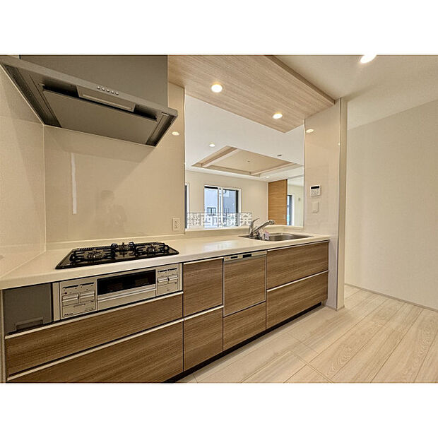 令和7年10月23日撮影