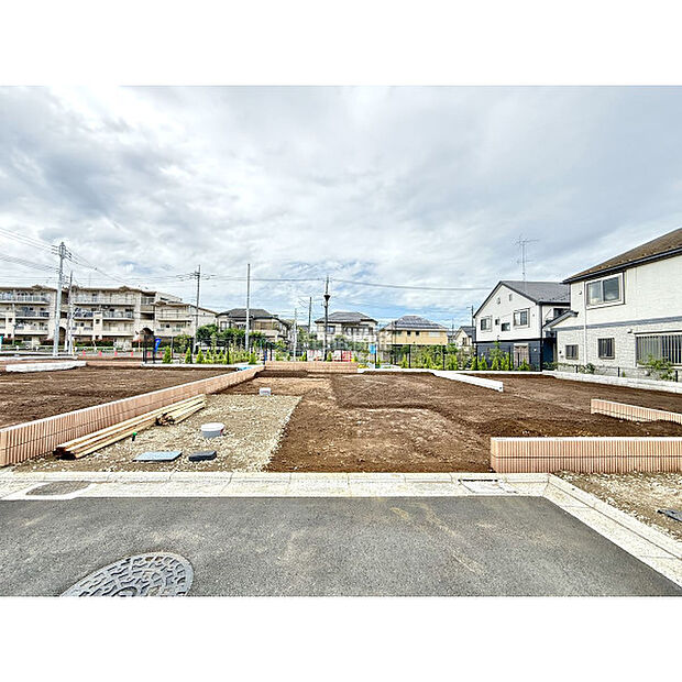 令和7年6月15日撮影