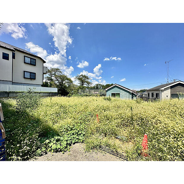 令和7年8月8日撮影