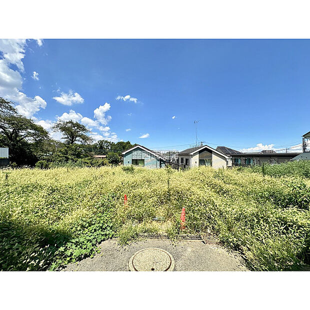 令和7年8月8日撮影