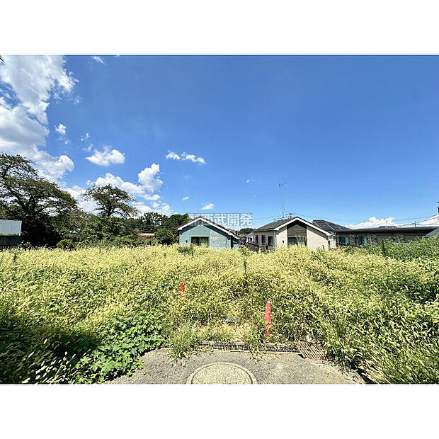 令和7年8月8日撮影