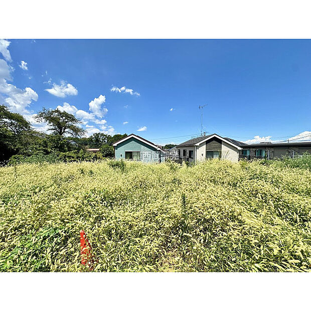 令和7年8月8日撮影