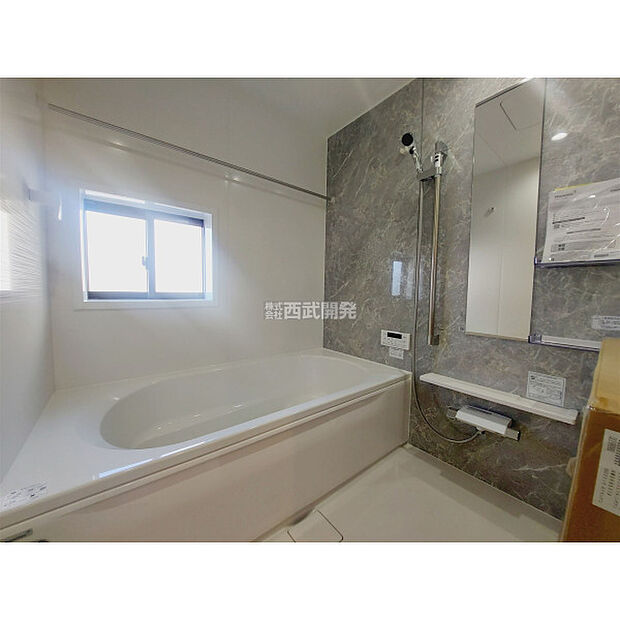 令和7年11月3日撮影