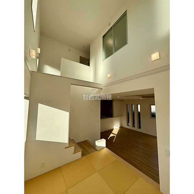 令和7年11月28日撮影