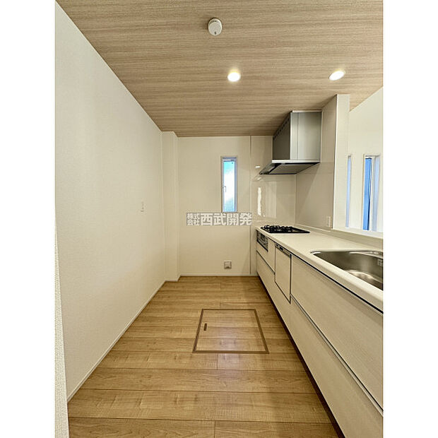 令和7年11月28日撮影