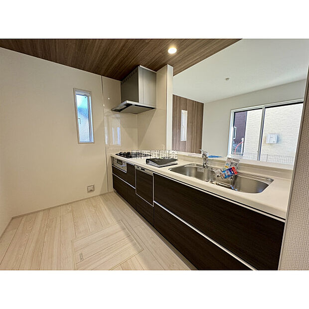 令和7年11月28日撮影