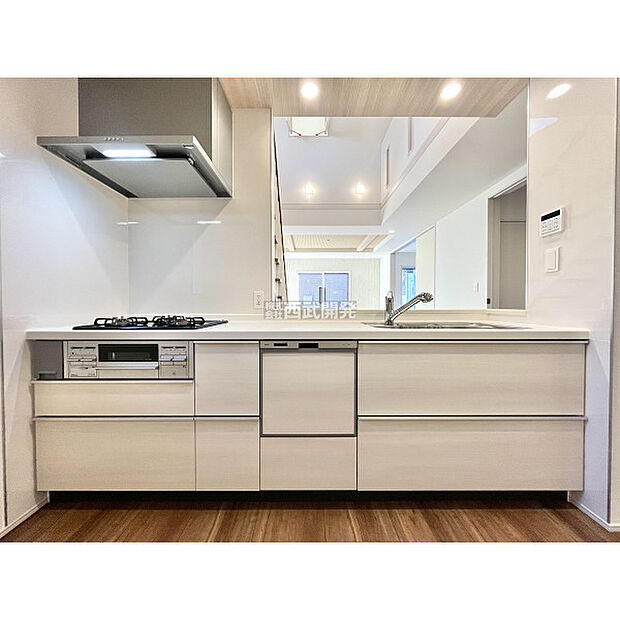 令和7年11月28日撮影