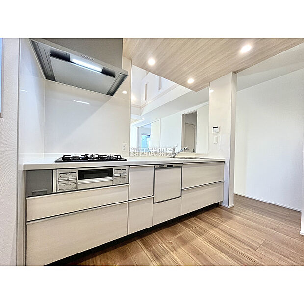 令和7年11月28日撮影