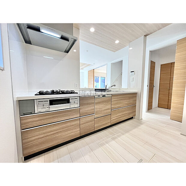 令和7年11月28日撮影