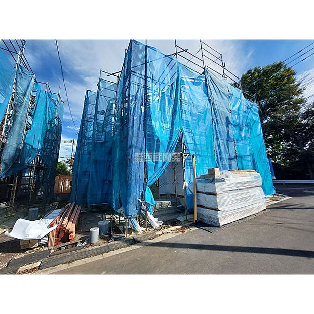 2025年10月23日撮影