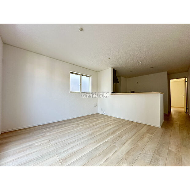 令和7年11月16日撮影