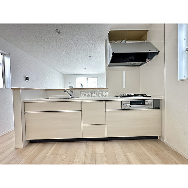 令和7年11月16日撮影