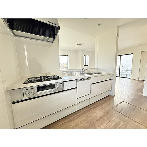 令和7年12月19日撮影