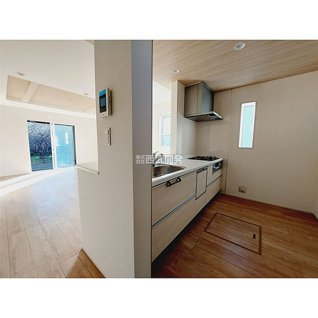 令和7年11月28日撮影