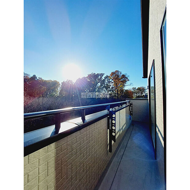 令和7年11月28日撮影