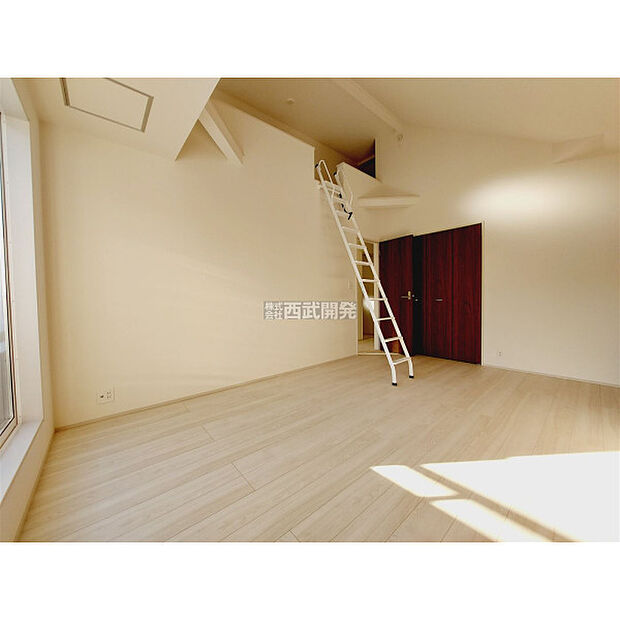 令和7年11月28日撮影