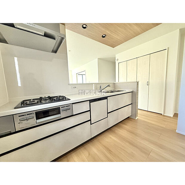 令和7年12月12日撮影