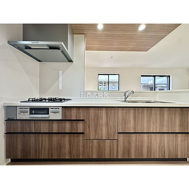 令和7年11月7日撮影