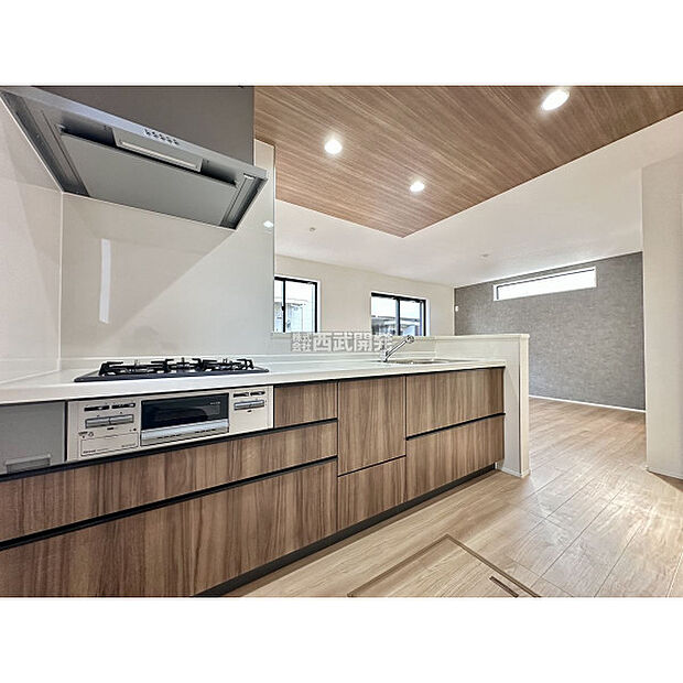 令和7年11月7日撮影