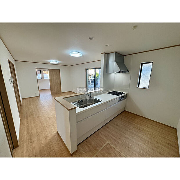 令和7年11月1日撮影