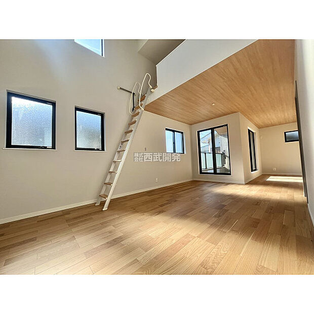 令和7年11月14日撮影