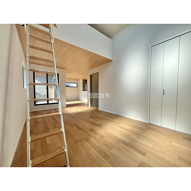 令和7年11月14日撮影