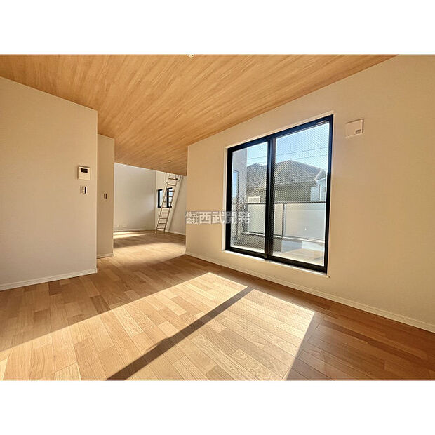 令和7年11月14日撮影