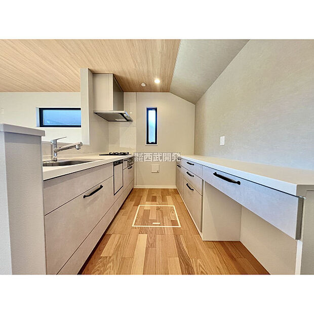 令和7年11月14日撮影