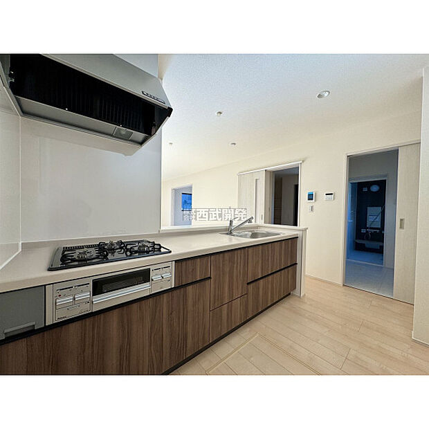 令和7年12月12日撮影