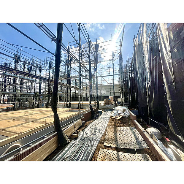 令和7年9月26日撮影