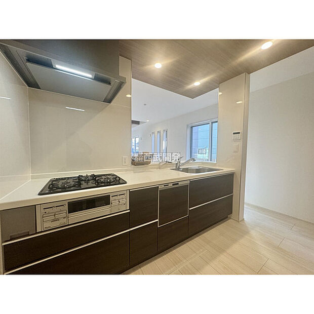 2025年12月8日撮影