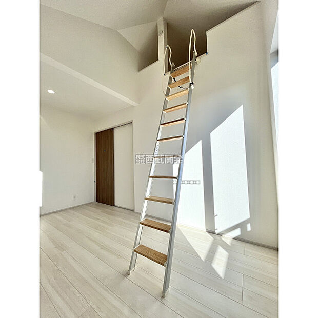 令和7年11月28日撮影