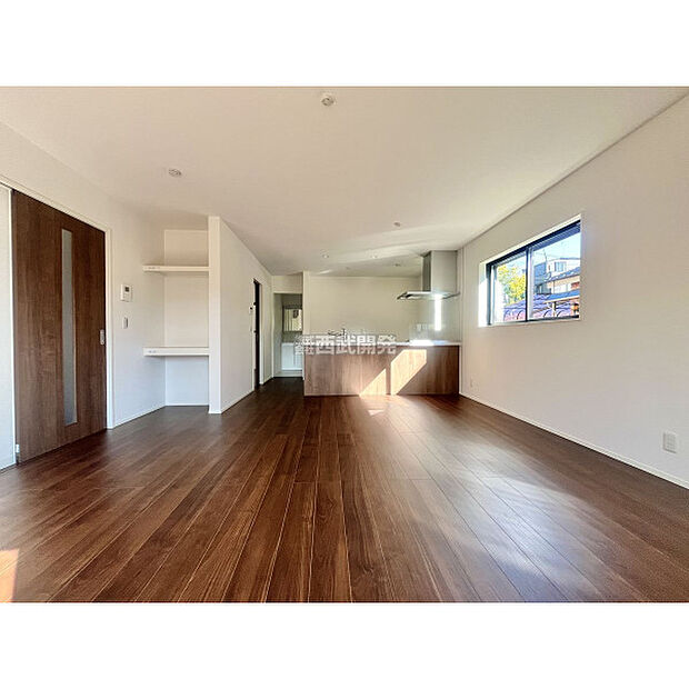 令和7年11月14日撮影