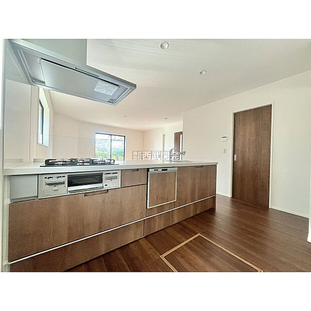 令和7年11月14日撮影