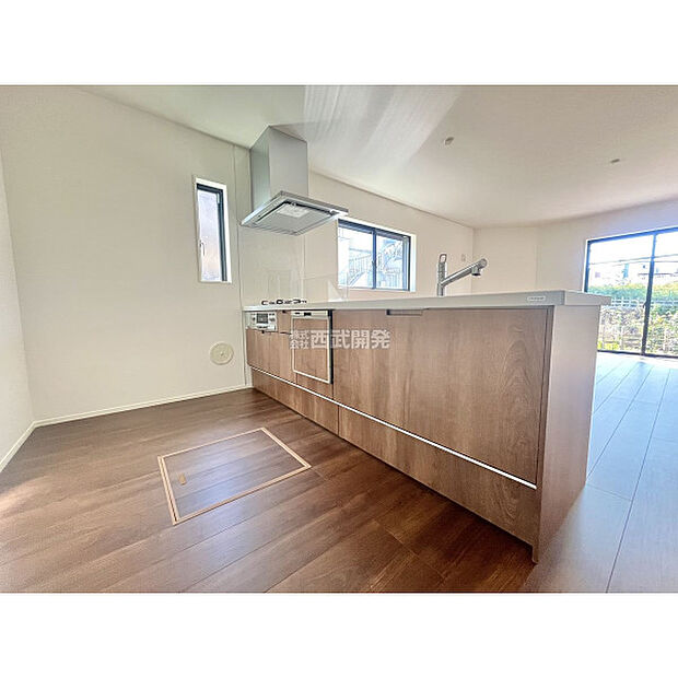 令和7年11月14日撮影