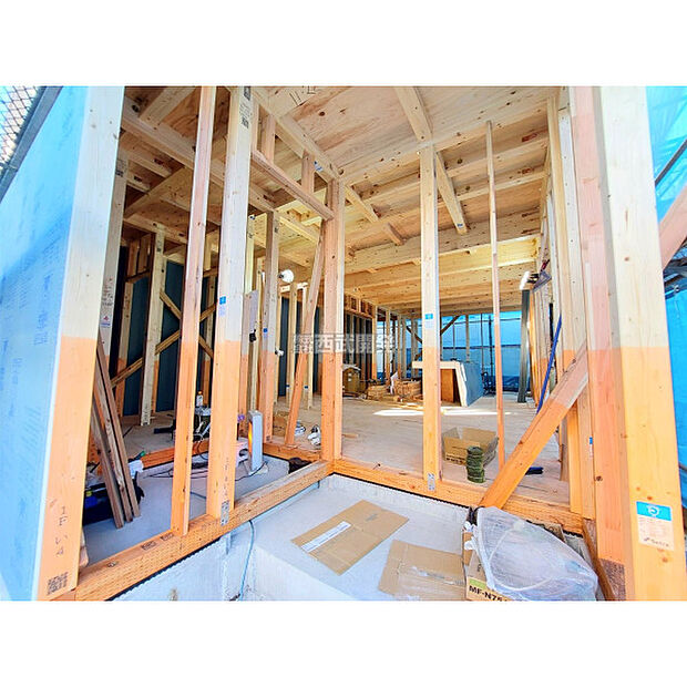 令和7年12月12日撮影