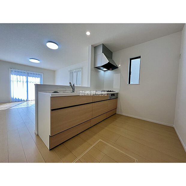 令和8年1月29日撮影