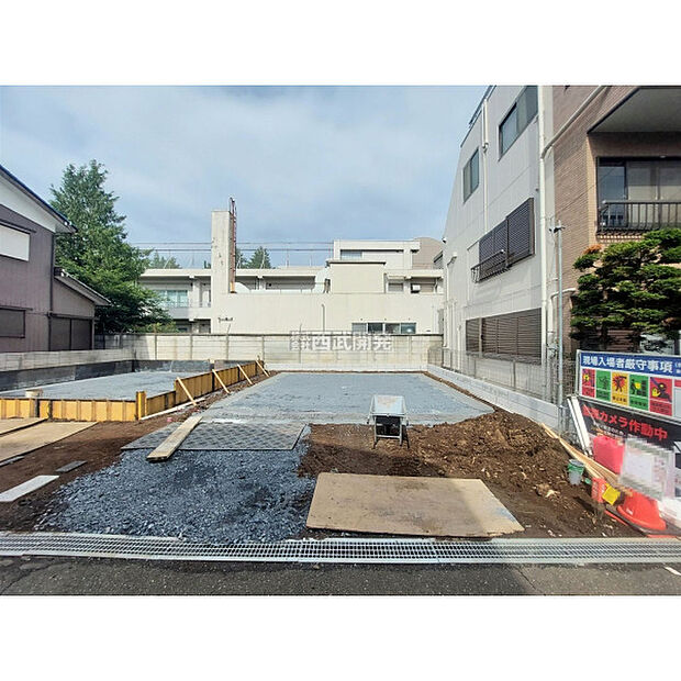 2025年10月12日撮影