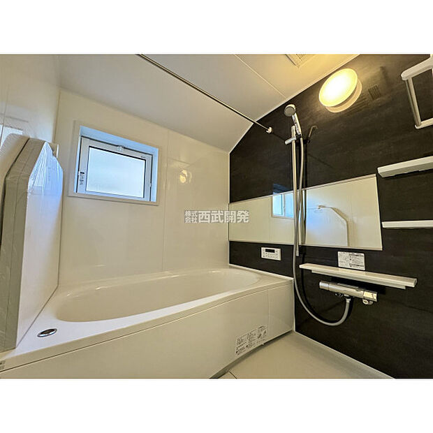 令和7年11月8日撮影