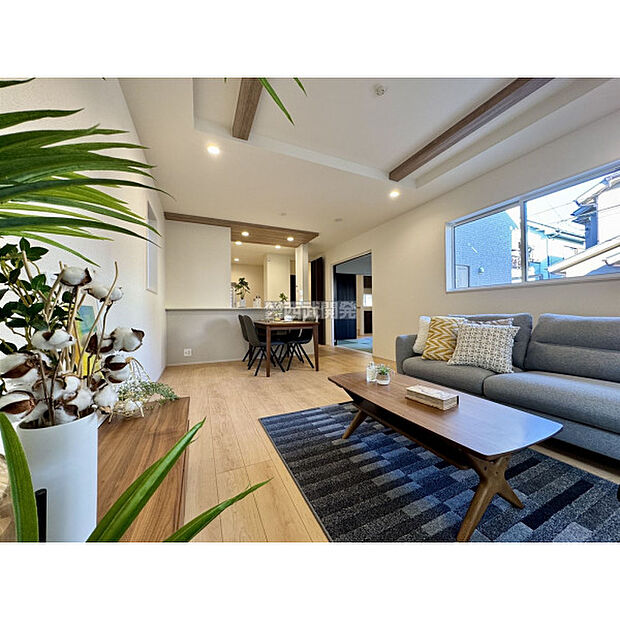 令和7年11月20日撮影