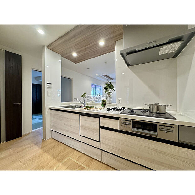 令和7年11月20日撮影