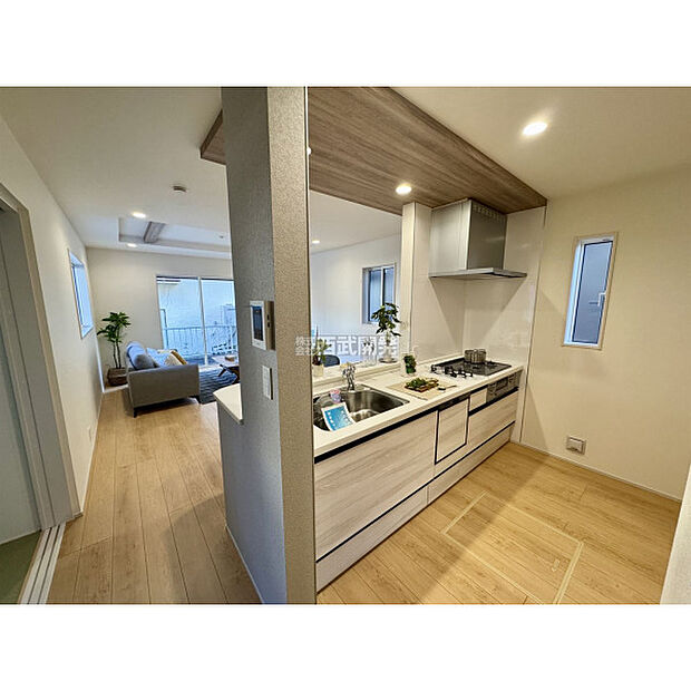 令和7年11月20日撮影