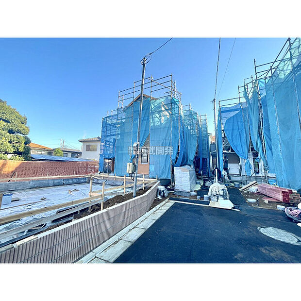 令和7年11月28日撮影