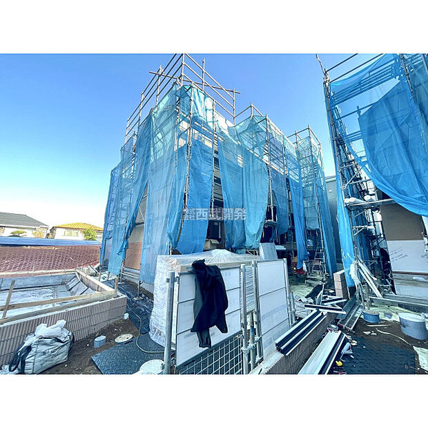 令和7年11月28日撮影