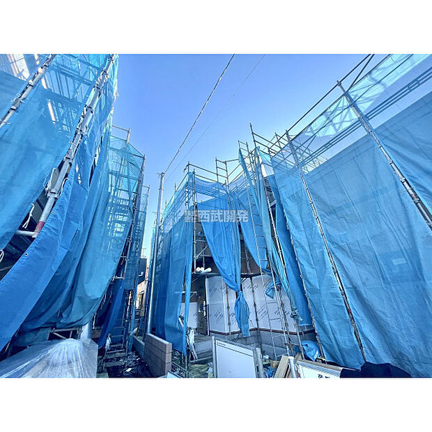 令和7年11月28日撮影