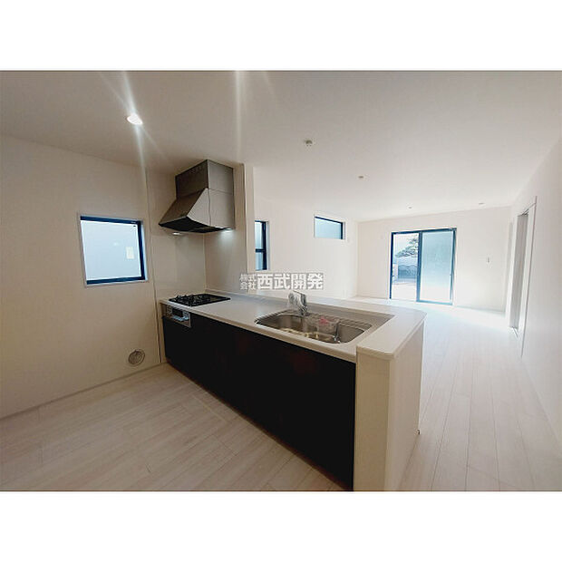 令和7年11月3日撮影